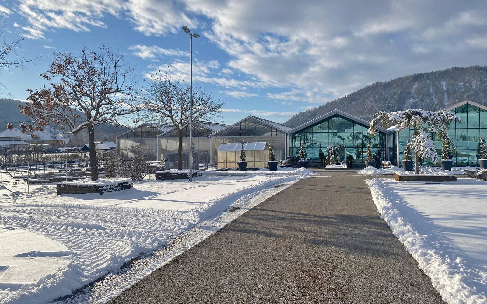 Gärtnerei Sattler Völkermarkt