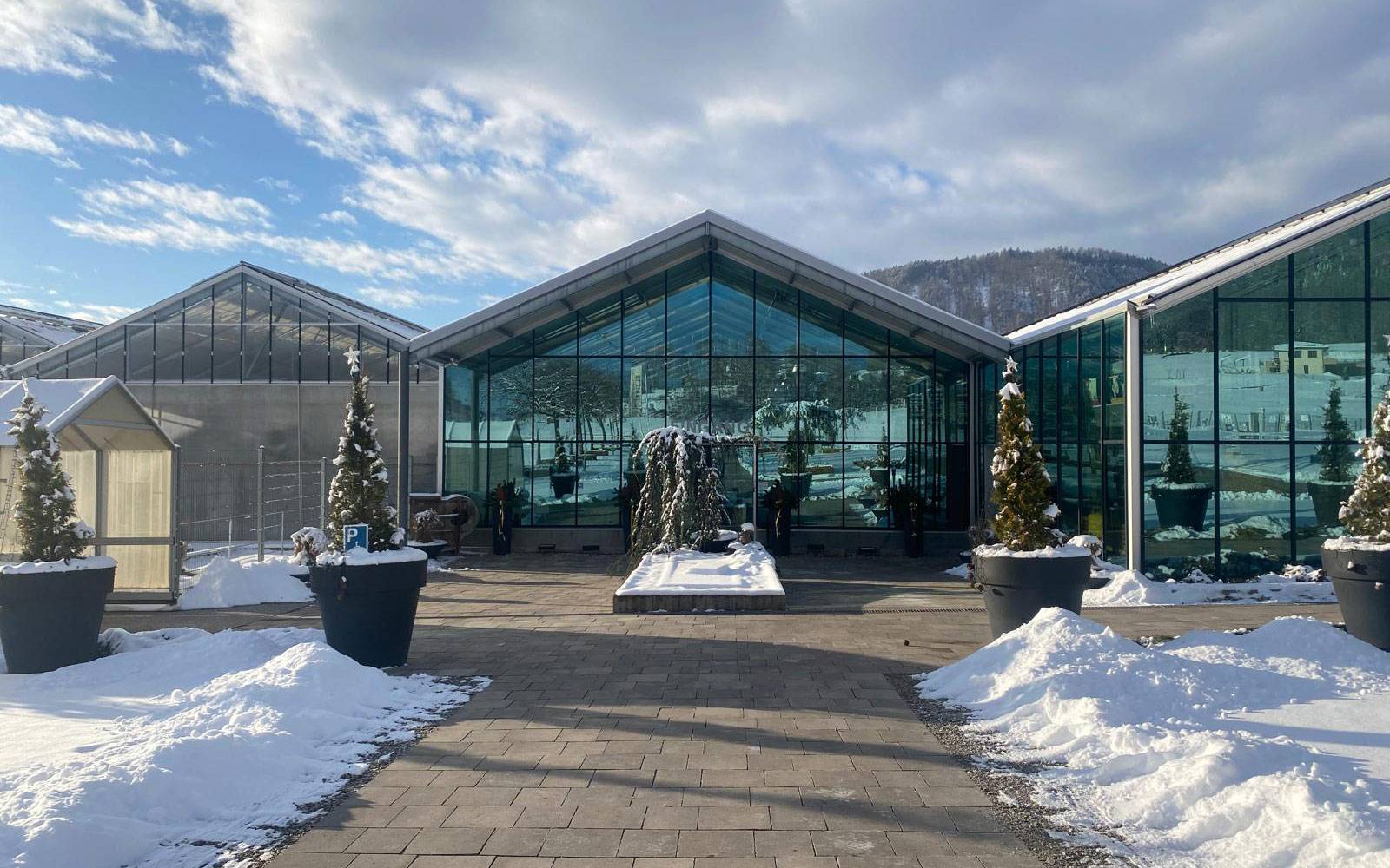 Gärtnerei Sattler Völkermarkt