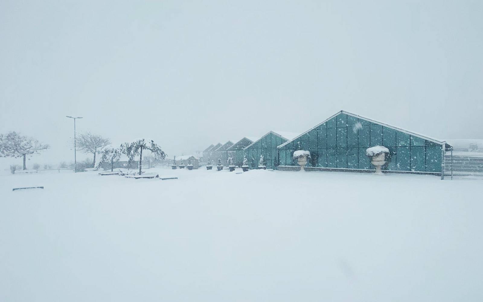 Gärtnerei Sattler Völkermarkt